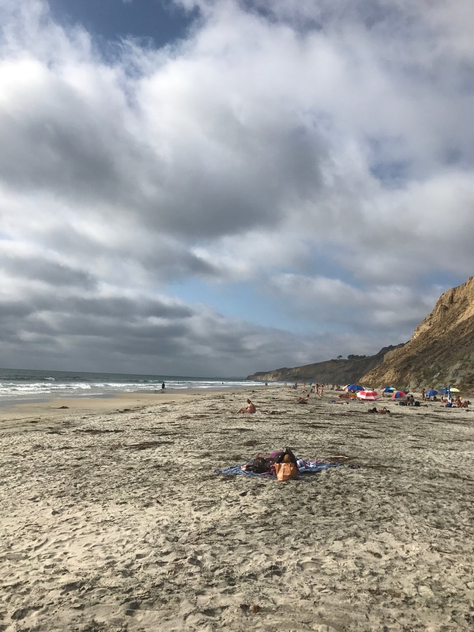 Black's Beach reviews, photos La Jolla San Diego GayCities San Diego