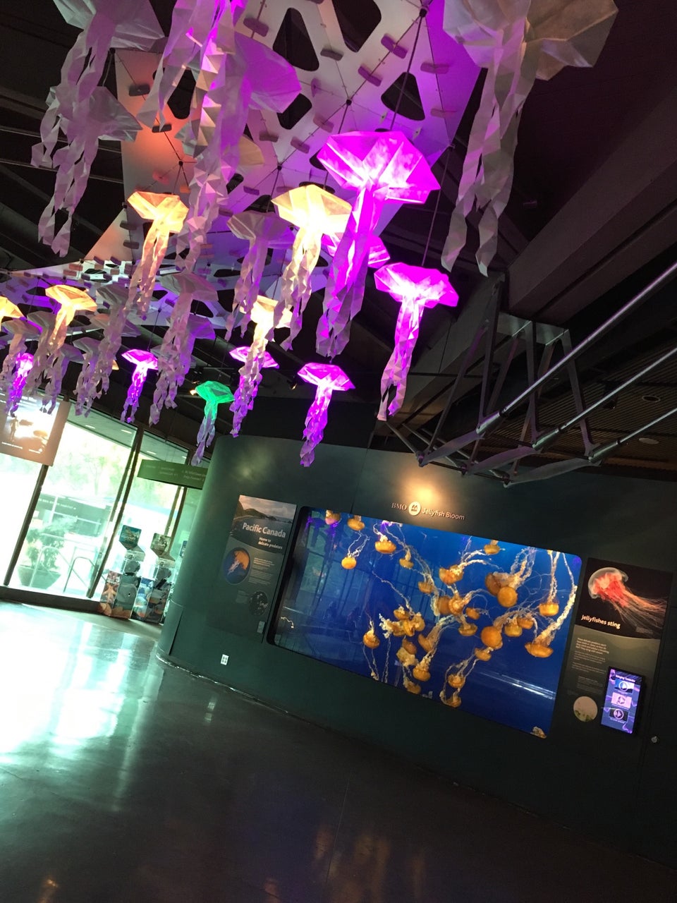 Photo of Vancouver Aquarium