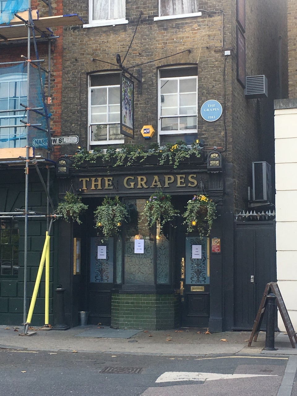 Photo of The Grapes