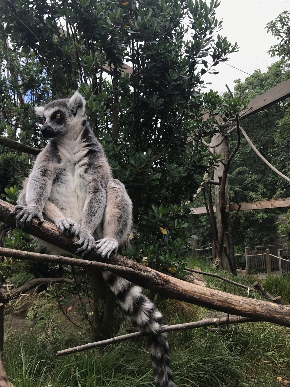 Photo of ZSL London Zoo