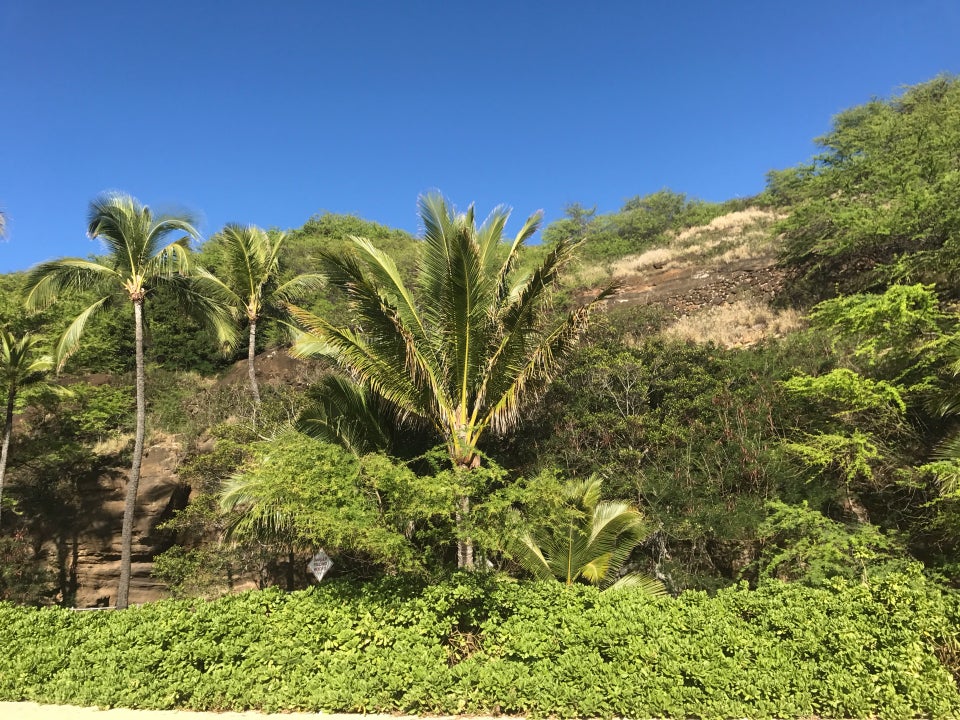 Photo of Hanauma Bay Nature Preserve