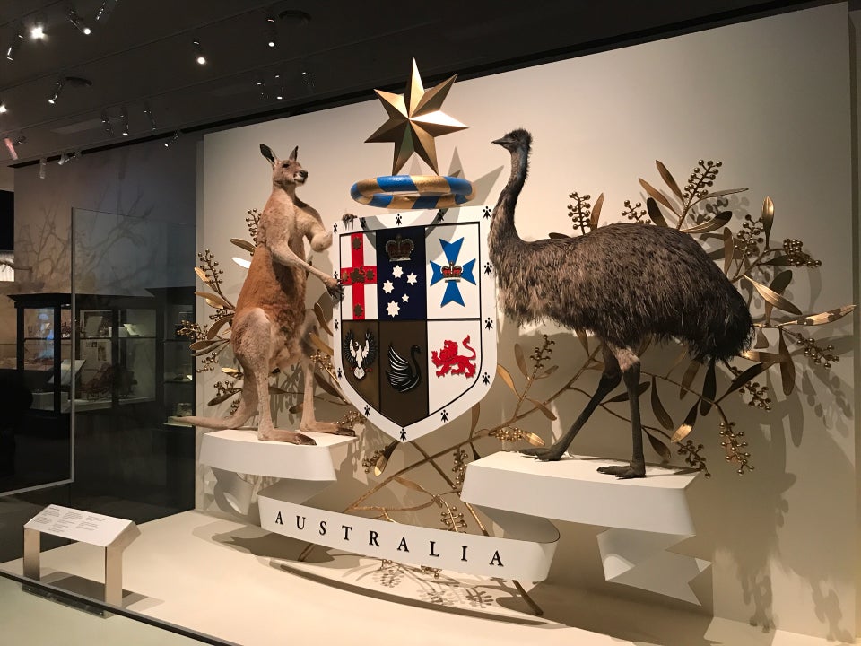 Photo of Melbourne Museum