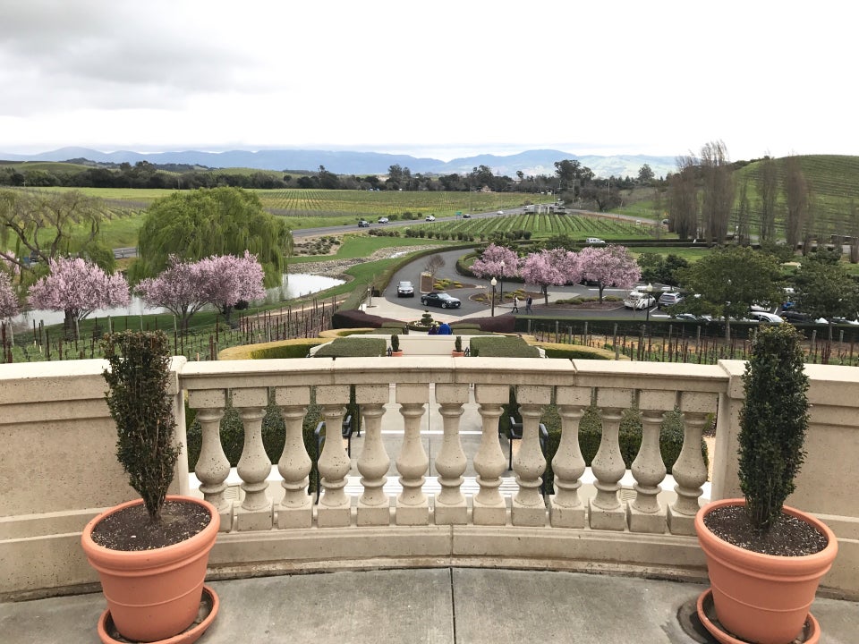 Photo of Domaine Carneros