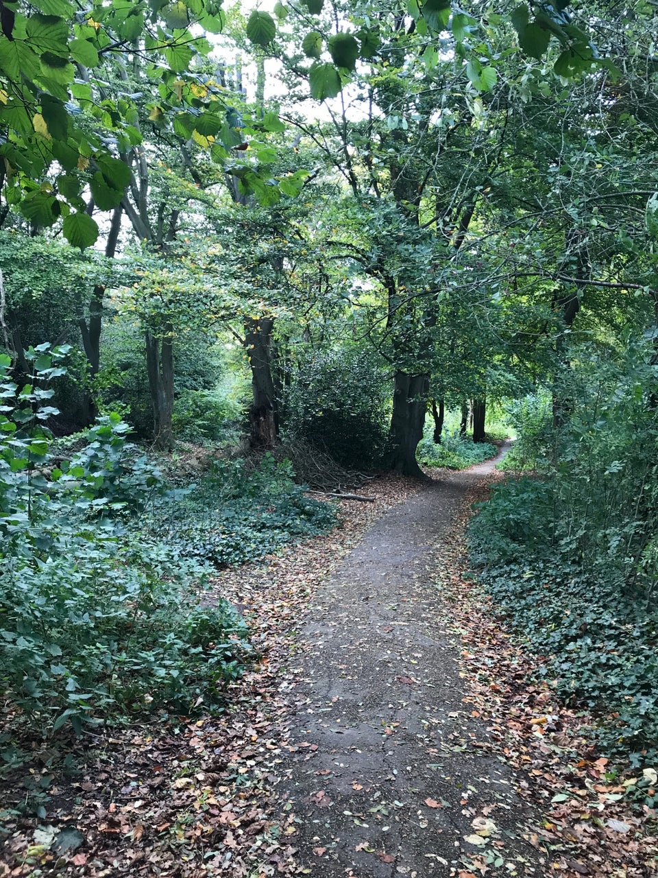 Photo of Hampstead Heath