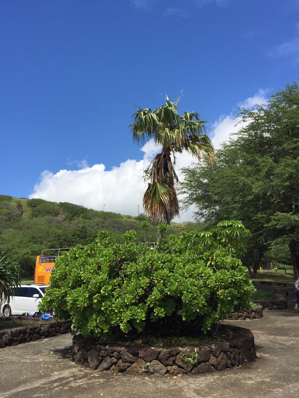 Photo of Hanauma Bay Nature Preserve