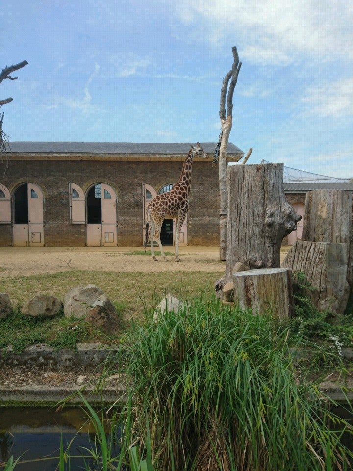 Photo of ZSL London Zoo