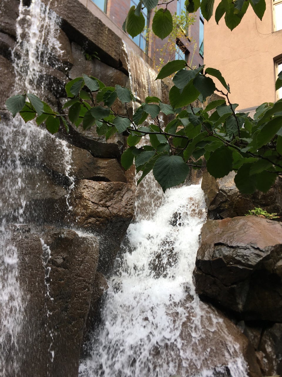 Photo of Waterfall Garden