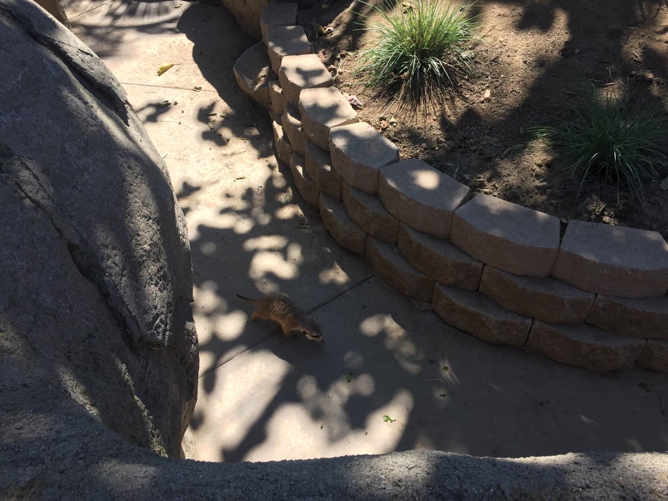 Photo of San Diego Zoo