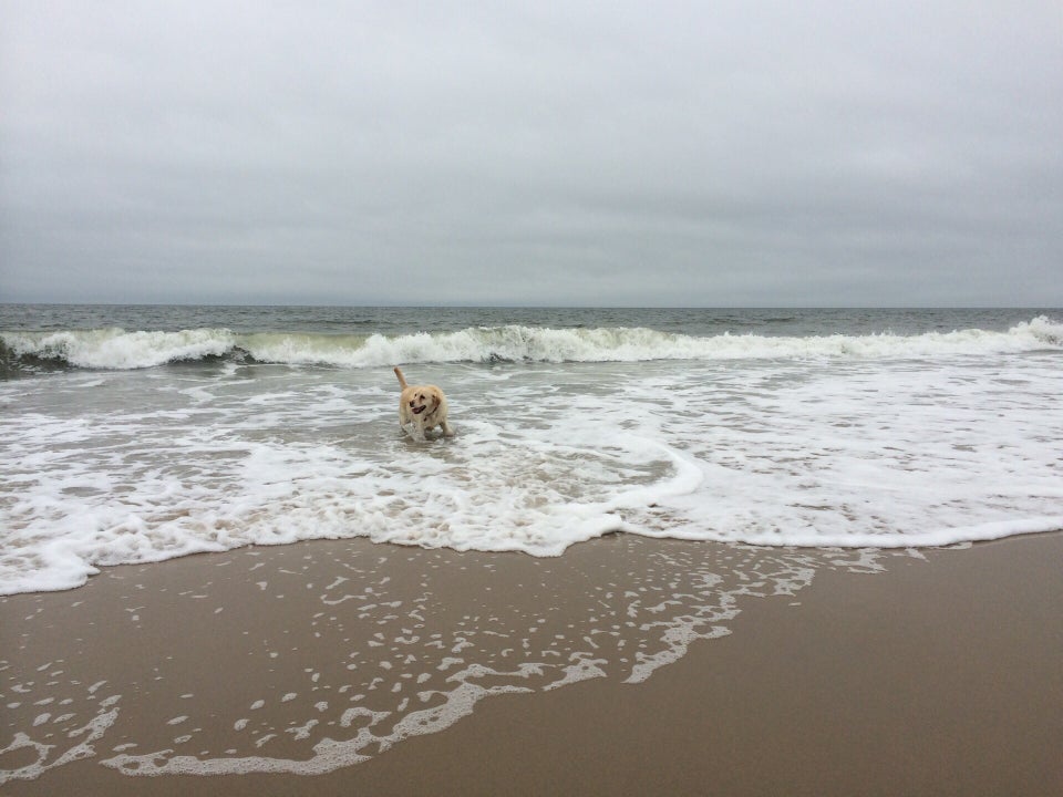 Photo of Poodle Beach
