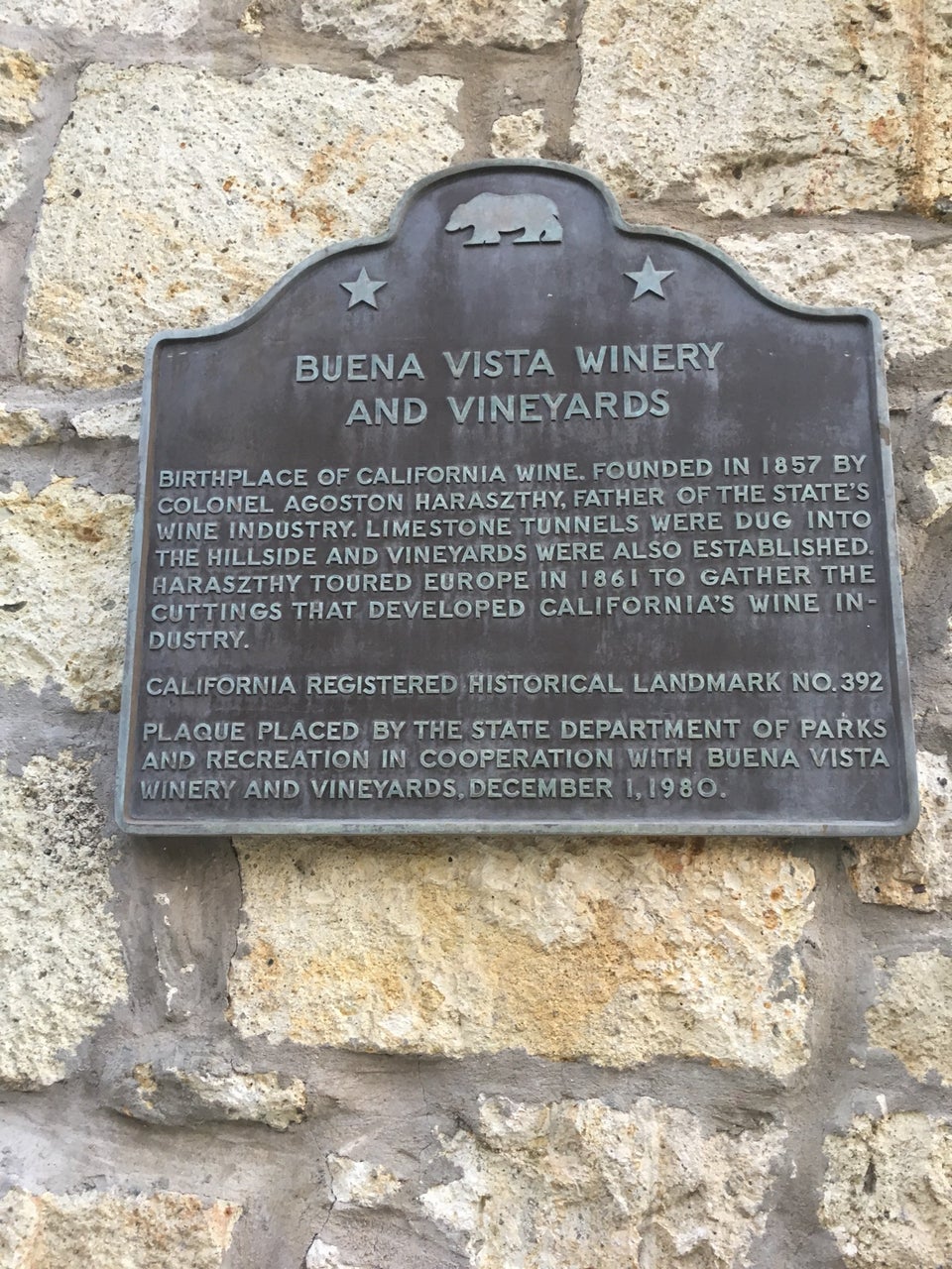Photo of Buena Vista Winery