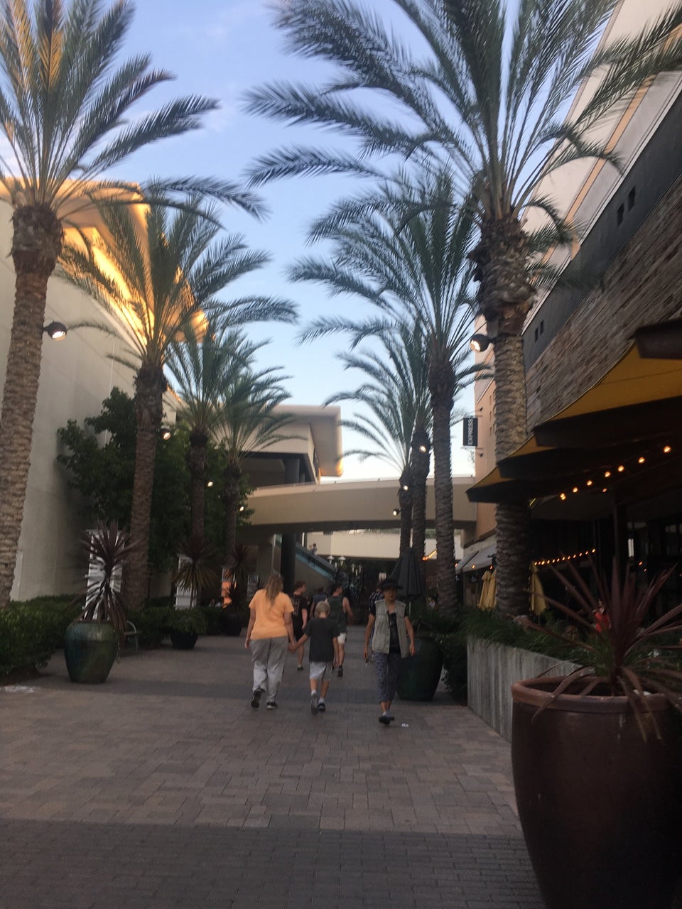 Fashion Valley reviews, photos - Mission Hills - San Diego - GayCities San  Diego