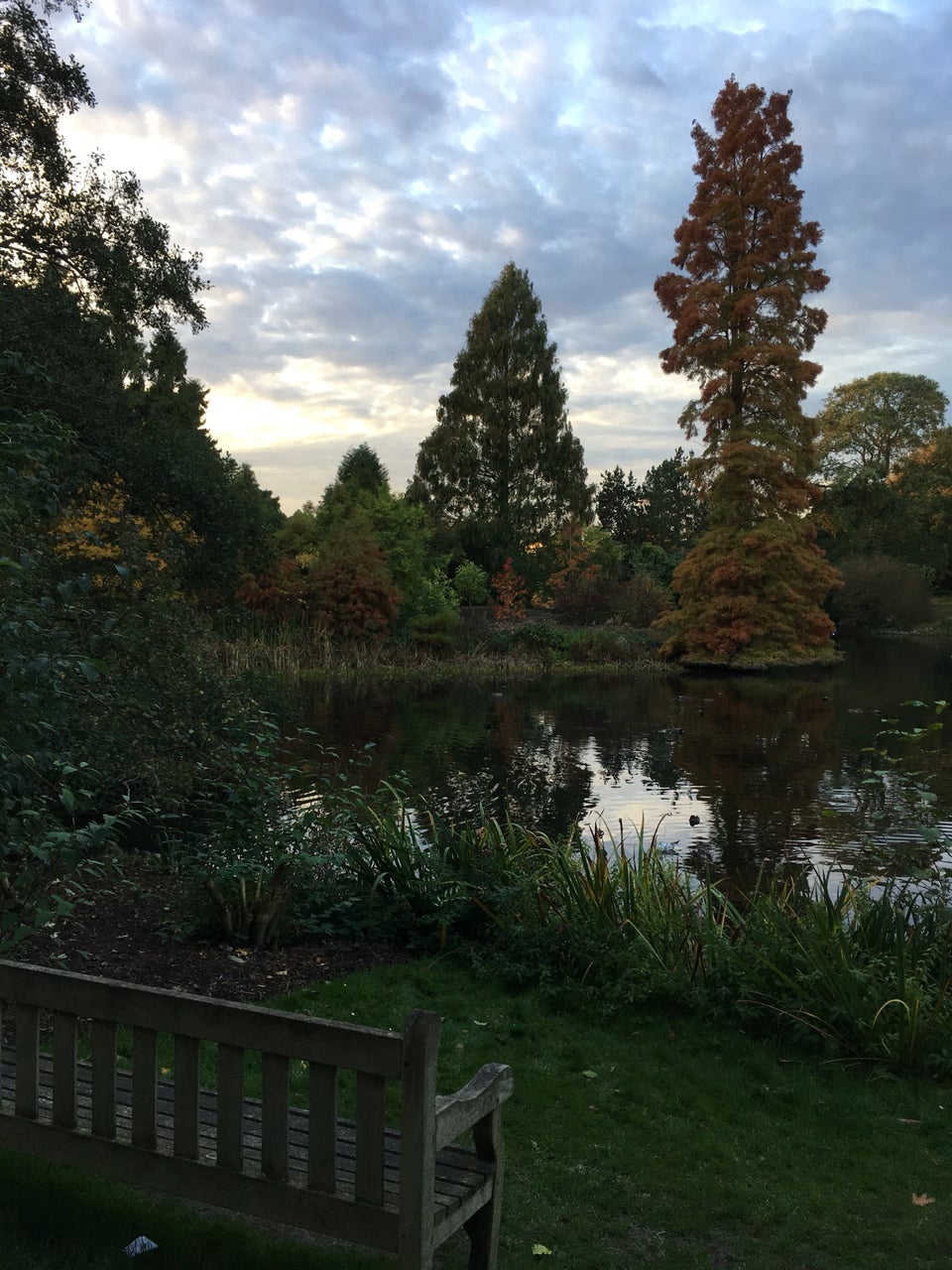 Photo of Royal Botanic Gardens, Kew