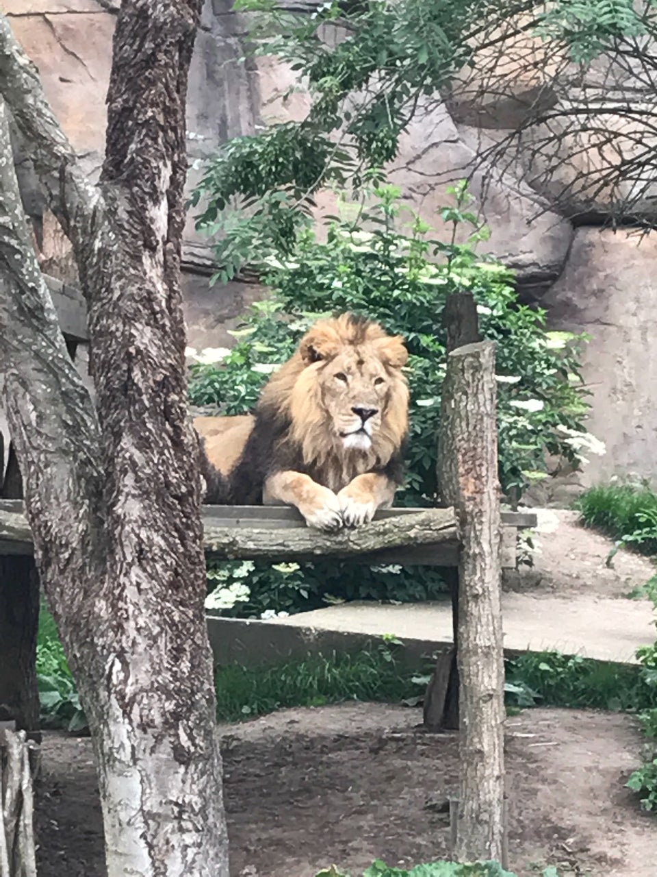 Photo of ZSL London Zoo