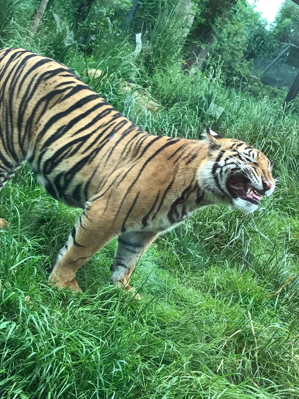 Photo of ZSL London Zoo