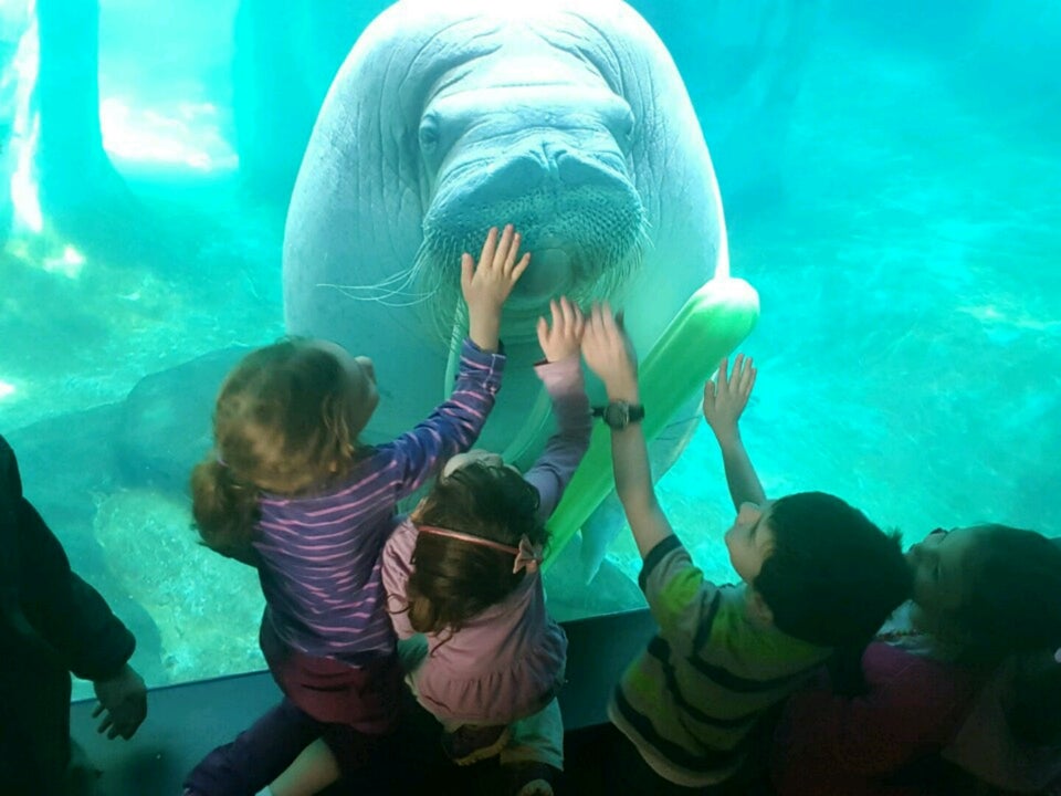 Photo of Pt. Defiance Zoo & Aquarium