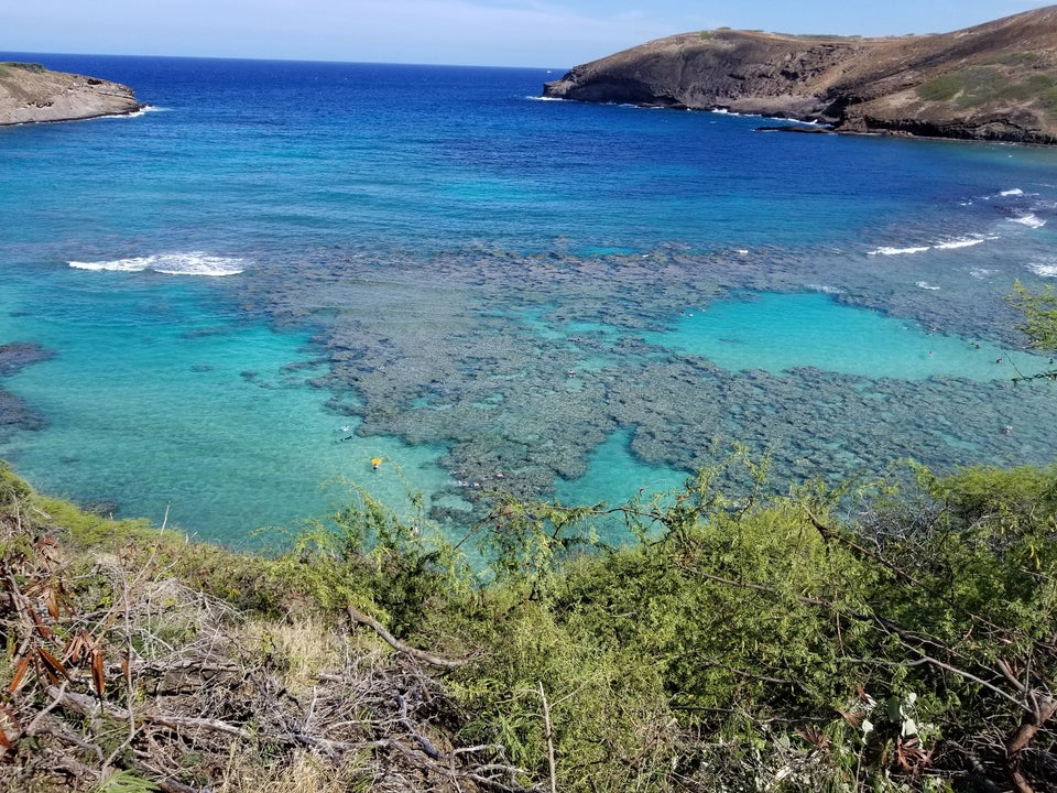 Photo of Hanauma Bay Nature Preserve