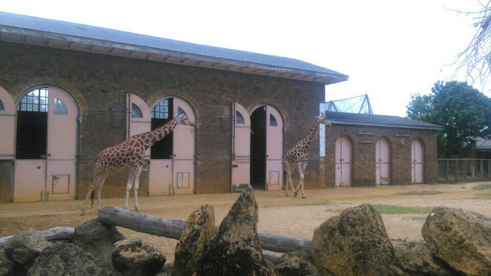 Photo of ZSL London Zoo