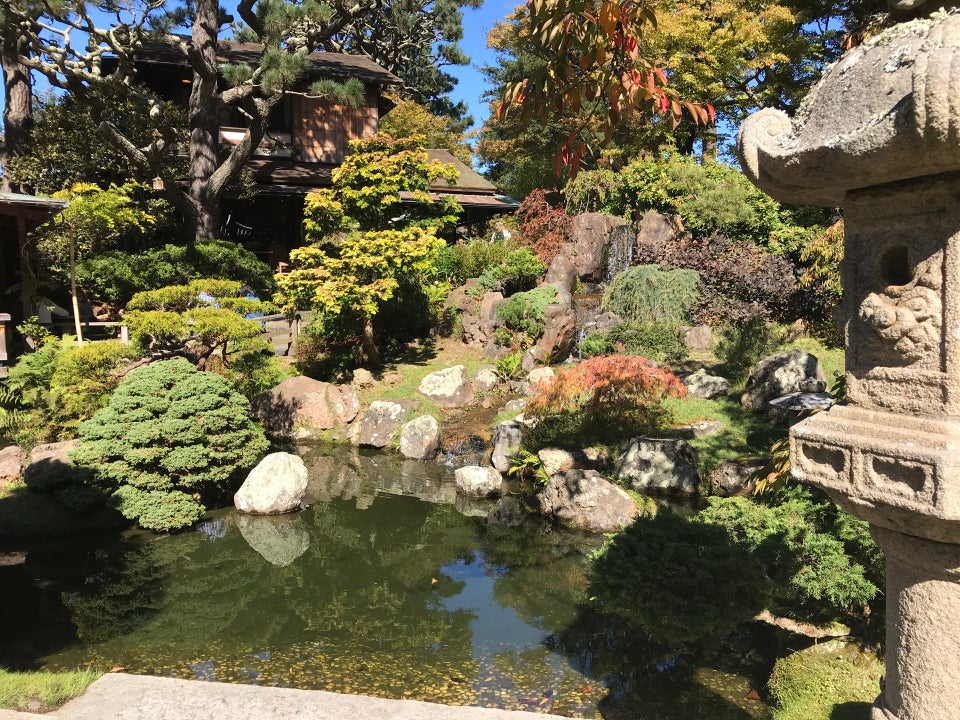 Photo of Japanese Tea Garden