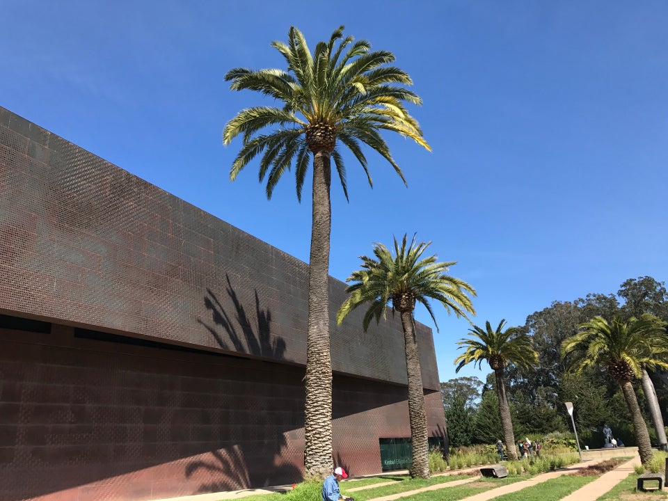 Photo of The De Young Museum
