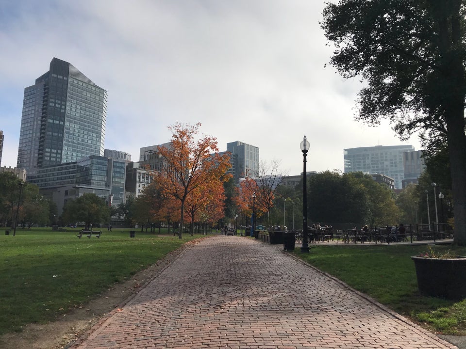 Photo of Boston Common