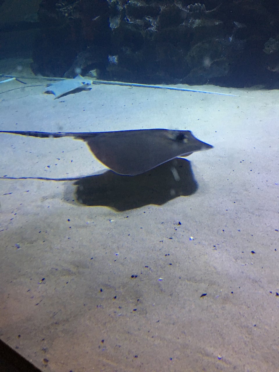 Photo of Greater Cleveland Aquarium