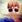 Kevin N.