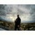 Nick Lavrenkov