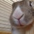 うさぎ 