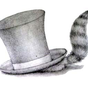 Head To Tail Pet Spa Head To Tail Pet Spa