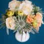 The Mini Rose Co. The Mini Rose Co.