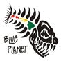 Blue Planet Surf - SUP HQ Blue Planet Surf - SUP HQ