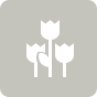 Lake Elsinore VIP Florist Lake Elsinore VIP Florist
