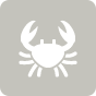 Upstate Craft Beer and Oyster Bar Upstate Craft Beer and Oyster Bar