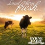 Byrne Dairy Byrne Dairy